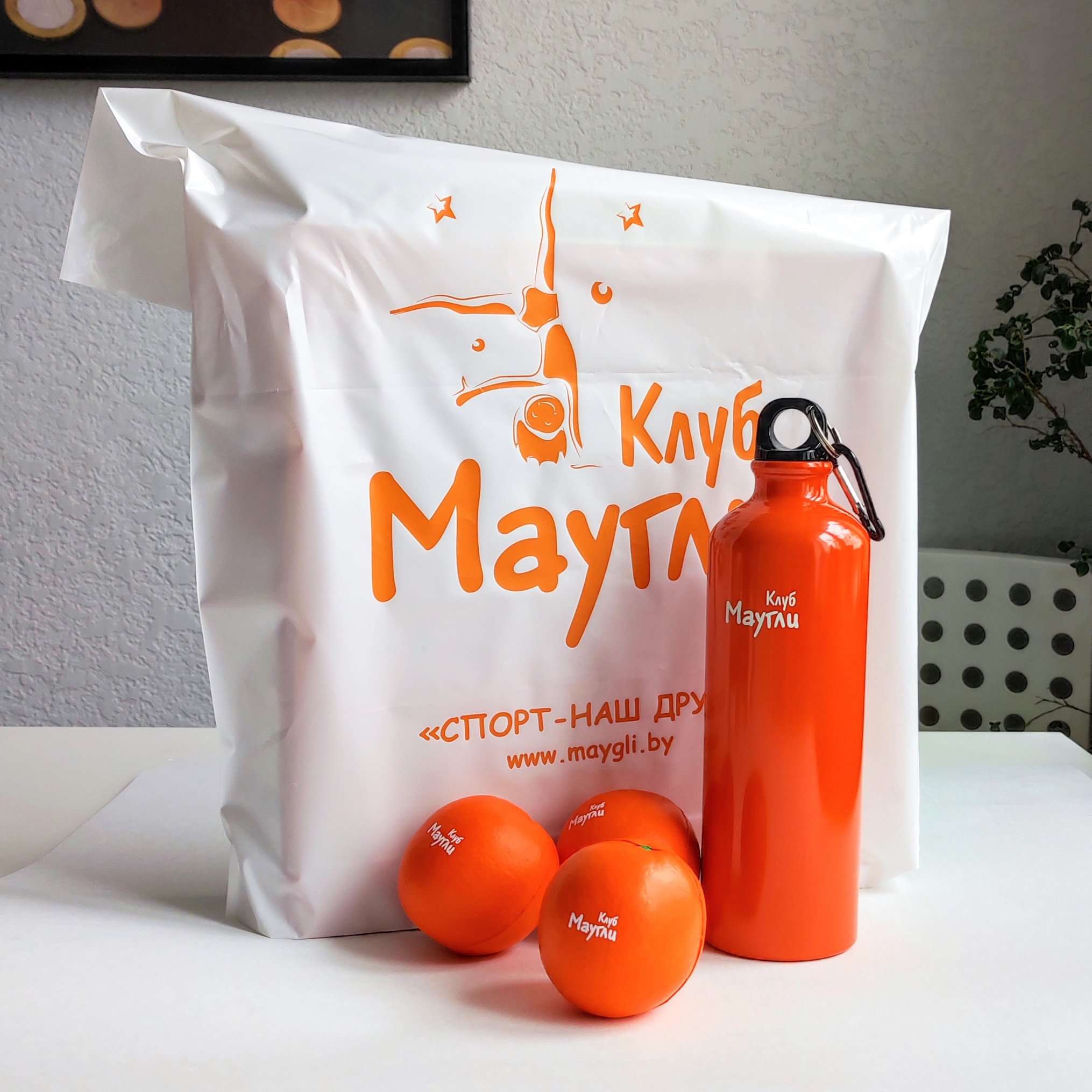 Купить пакеты ПВД с логотипом в Минске