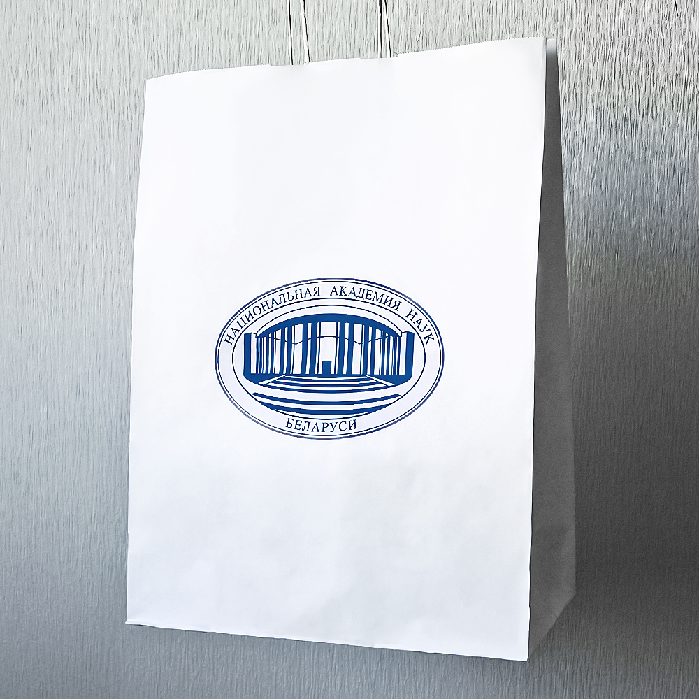 крафт пакет с логотипом оптом купить